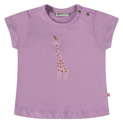 [NWB24228630] BABYFACE - T-shirt parme MC + girafe